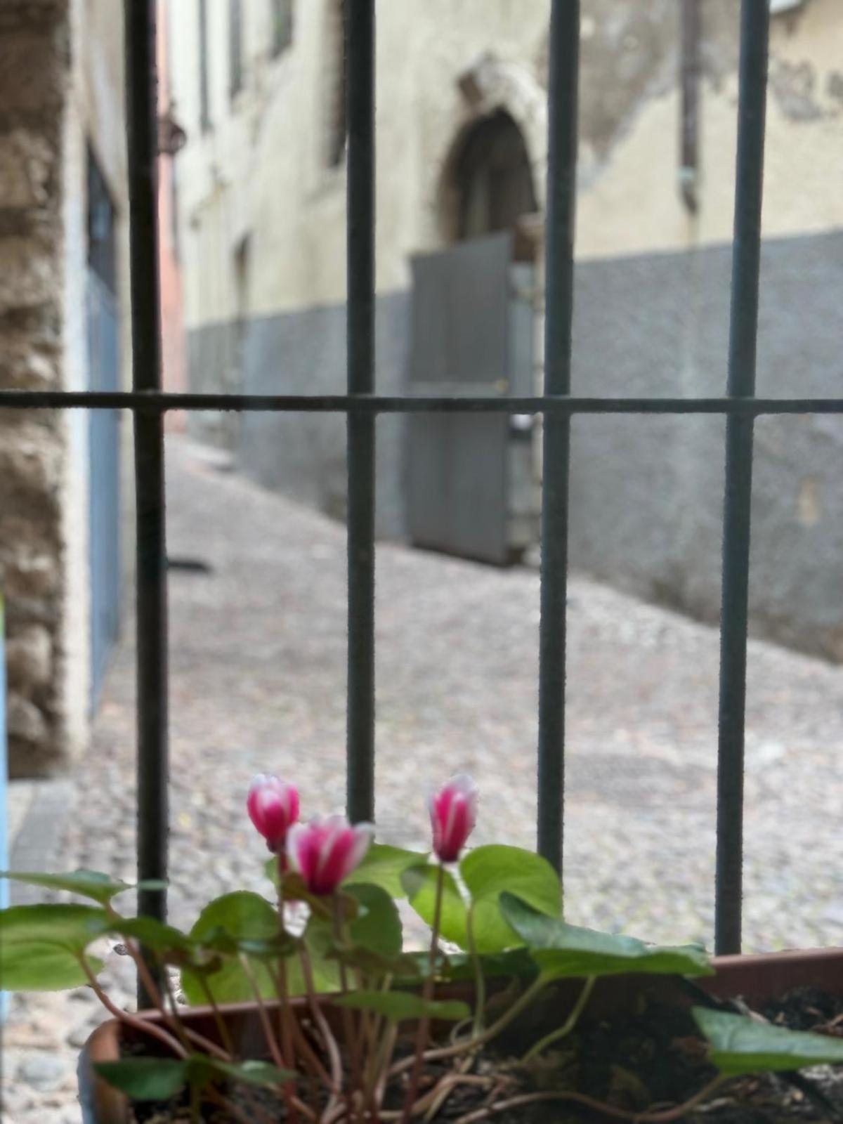 Duomo Nest Entire Apartment Trento Luaran gambar